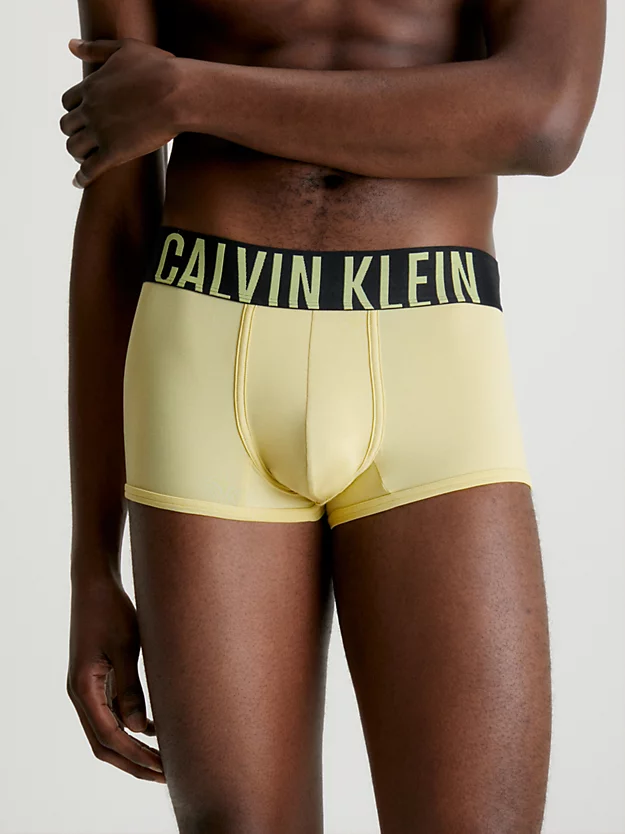 Calvin Klein 2 Pack Low Rise Trunks - Intense Power 4 Calvin Klein 2 Pack Low Rise Trunks - Intense Power - Image 2