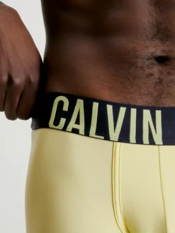 Calvin Klein 2 Pack Low Rise Trunks - Intense Power 10 Calvin Klein 2 Pack Low Rise Trunks - Intense Power -Everywear Shop 000NB2599A C28 alternate3