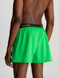 Calvin Klein 3 Pack Slim Fit Boxers - CK96 -Everywear Shop 000NB3412A I3L alternate3
