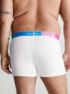 Calvin Klein Plus Size Trunks - Pride -Everywear Shop 000NB3520A BTP alternate2
