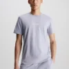 Calvin Klein Lounge T-shirt - Modern Structure