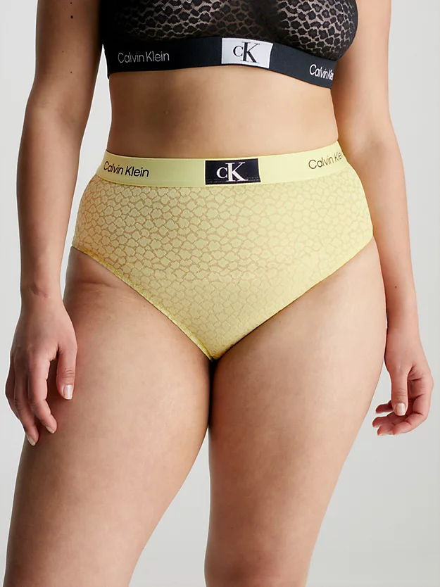 Calvin Klein Lace High Waisted Bikini Briefs - CK96 5 Calvin Klein Lace High Waisted Bikini Briefs - CK96 - Image 3