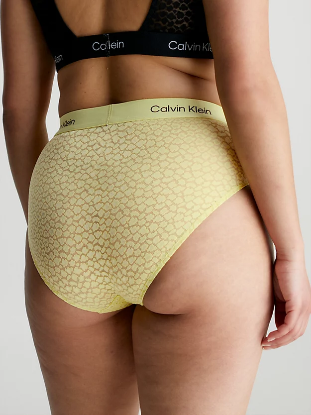 Calvin Klein Lace High Waisted Bikini Briefs - CK96 7 Calvin Klein Lace High Waisted Bikini Briefs - CK96 - Image 5