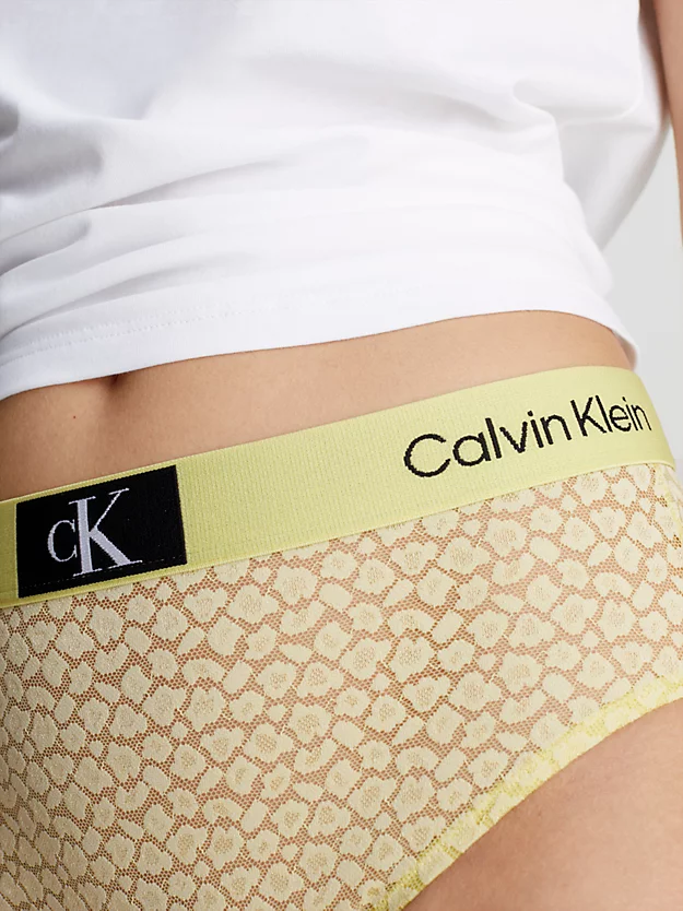 Calvin Klein Lace High Waisted Bikini Briefs - CK96 8 Calvin Klein Lace High Waisted Bikini Briefs - CK96 - Image 6