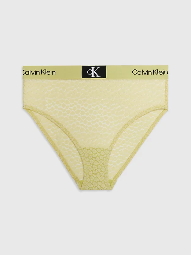 Calvin Klein Lace High Waisted Bikini Briefs - CK96 3 Calvin Klein Lace High Waisted Bikini Briefs - CK96