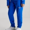 Calvin Klein Logo Joggers -Everywear Shop IB0IB01282 C6X main