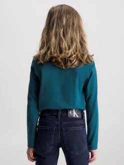 Calvin Klein 2 Pack Logo Sleeve T-shirts -Everywear Shop IB0IB01539 0KH alternate3