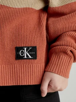 Calvin Klein Relaxed Colourblock Jumper 9 Calvin Klein Relaxed Colourblock Jumper -Everywear Shop IB0IB01747 PF2 alternate2