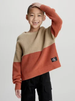 Calvin Klein Relaxed Colourblock Jumper