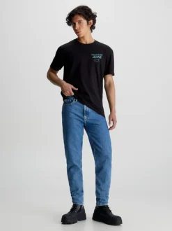 Calvin Klein Cotton Back Logo T-shirt -Everywear Shop J30J324031 BEH alternate4