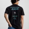 Calvin Klein Cotton Back Logo T-shirt