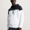 Calvin Klein Relaxed Colour Block Hoodie